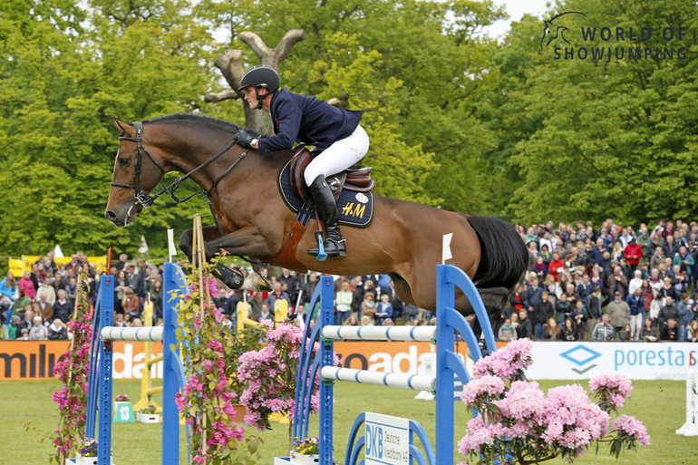 Armstrong van de Kapel with Olivier Philippaerts in the saddle. Photo (c) Jenny Abrahamsson.