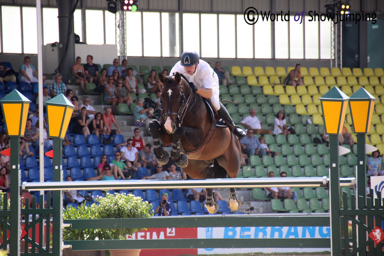 Quasi Modo Z. Photo (c) World of Showjumping. 