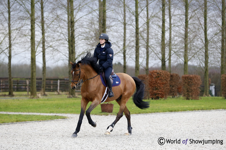 Lisa Nooren training Sabech d'Ha at home. Photo (c) Jenny Abrahamsson.