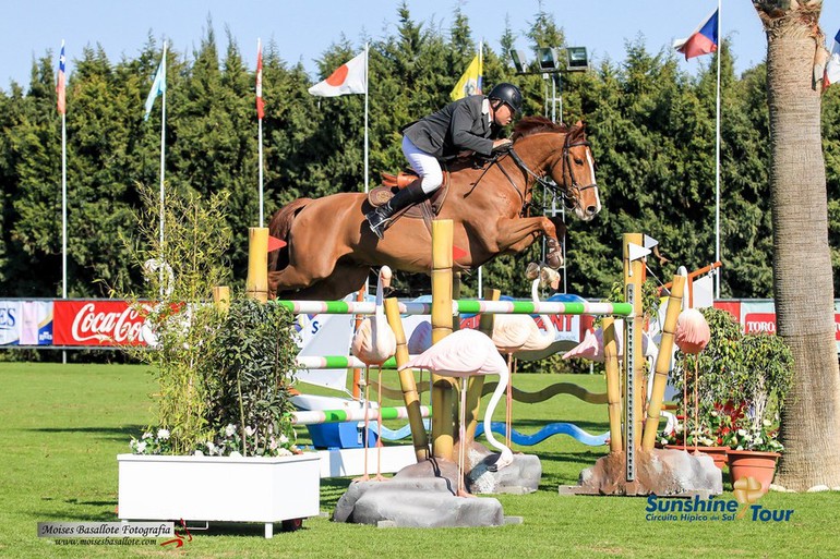 France’s Robert Breul won the CSI3* Grand Prix at the Sunshine Tour on Arsouille du Seigneur. Photo (c) Sunshine Tour.