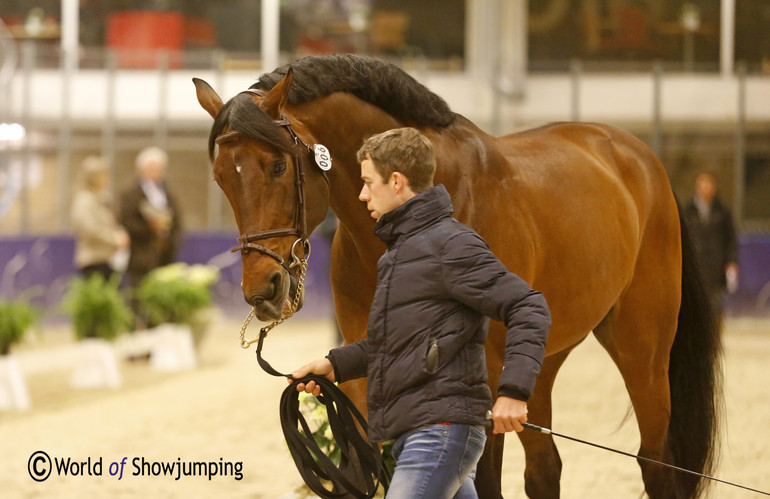 Maikel van der Vleuten and VDL Groep Verdi TN N.O.P. 