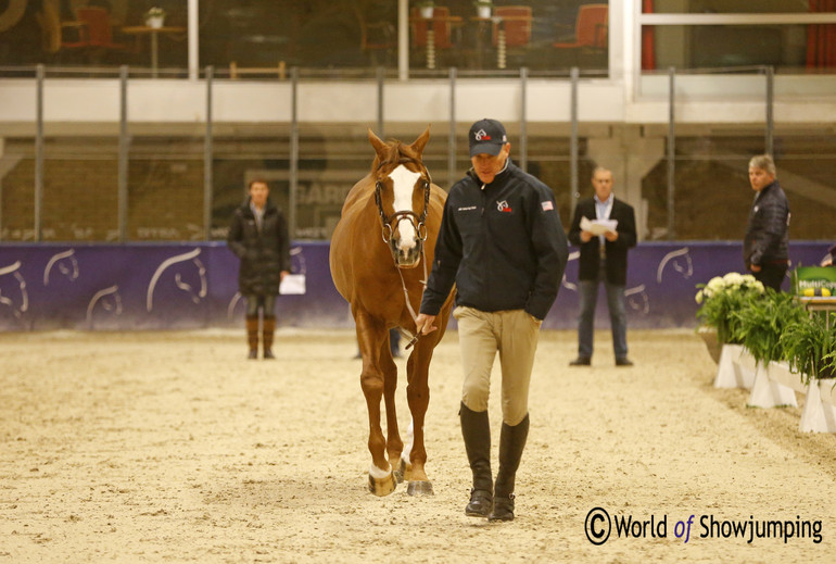 This wasn't the first trot-up for Rich Fellers and 20-year-old Flexible, so with the hand in his pocket Rich headed off. Flexible thought it was enough to run half-way though. 