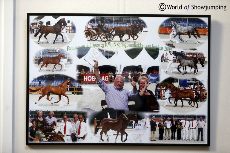 In 2009 the Van de Lageweg-family got the 'Breeder of the Year'-award from the KWPN for their breed of showjumpers. 