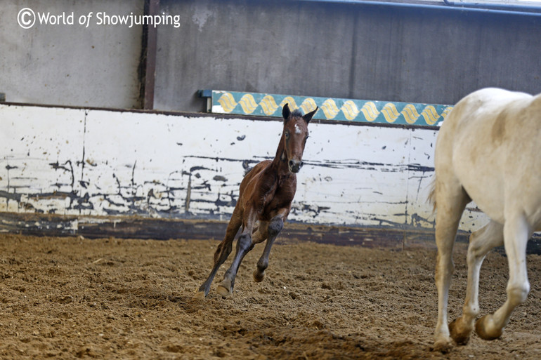 Full speed in one of the indoors.