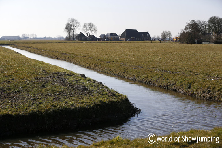 No fence needed! The water canals keep the horses in the right fields. 