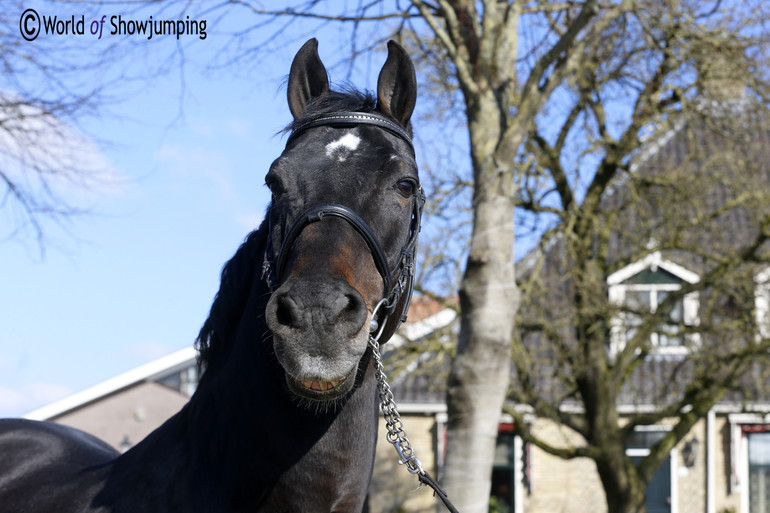 A smile from the 26-year-old Indoctro, who was bought when he was two weeks old. 