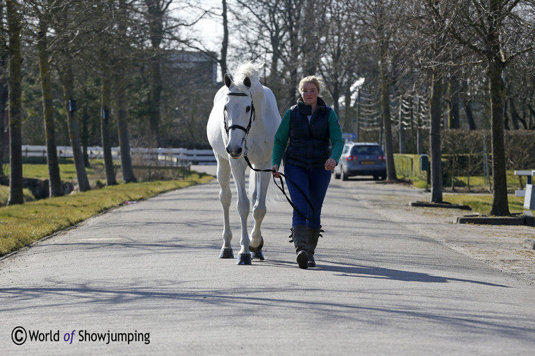 VDL Cardento coming back from a walk with Jill. 