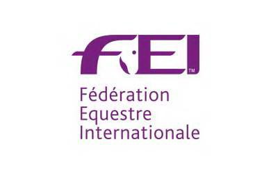 FEI logo