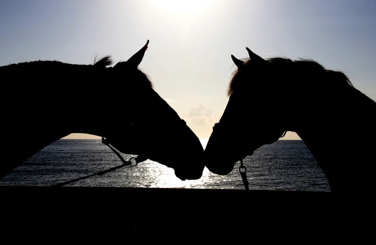 © Stefano Grasso/LGCT all rights reserved