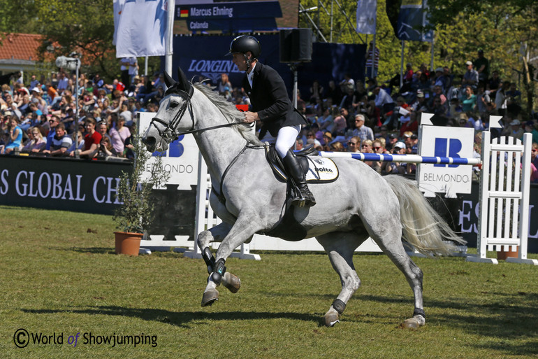 Marcus Ehning's Calanda in action; the 8-year-old mare is by Calico x Chasseur I.