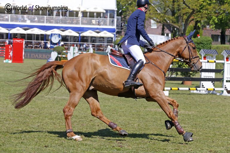 William Whitaker riding Dublin V, an 8-year-old by Vigaro x Calvados.
