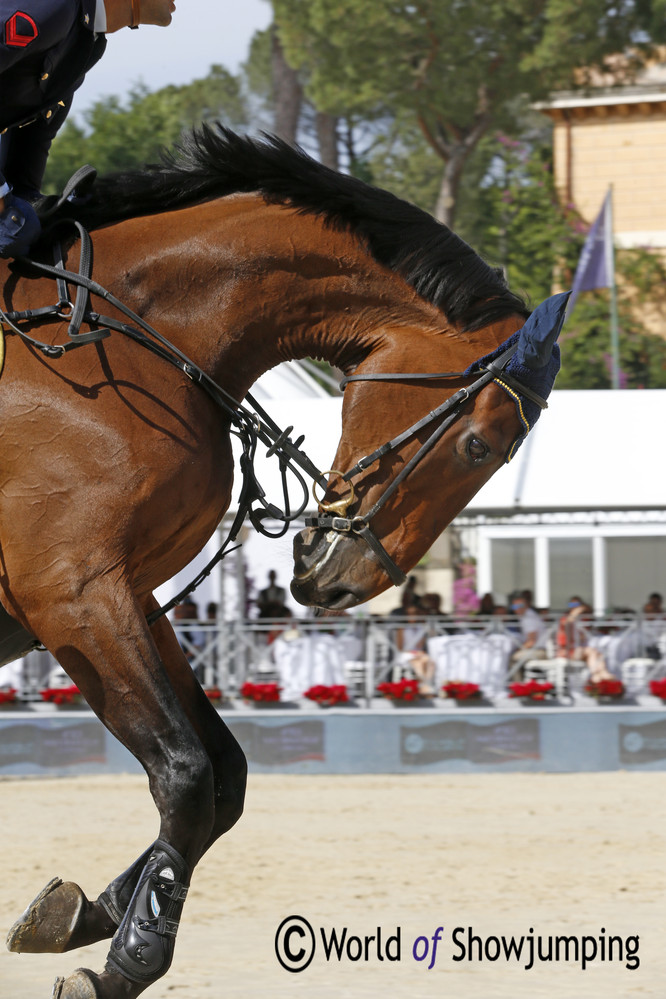 Ares bucks Italy's Emilio Bicocchi out of the picture. Photo (c) Jenny Abrahamsson.