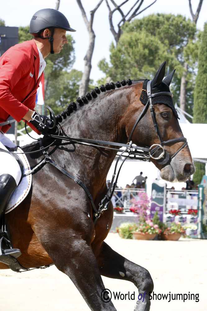 Germany's Marco Kutscher and Van Gogh. Photo (c) Jenny Abrahamsson.