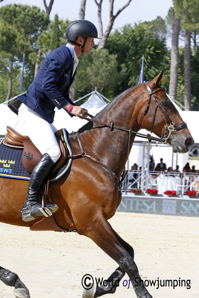 Swedish rider Peder Fredricson on H&M Flip's Little Sparrow. Photo (c) Jenny Abrahamsson.