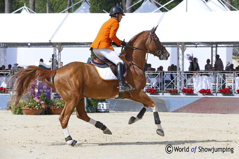 Emerald N.O.P. looks to be in great shape, and jumped clear in the first round with Harrie Smolders in the saddle.