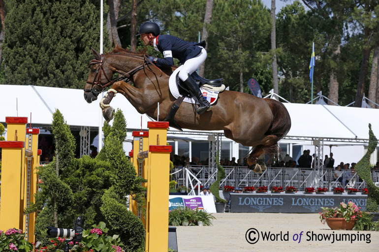 This little horse is just amazing - flying over fences bigger than himself. 