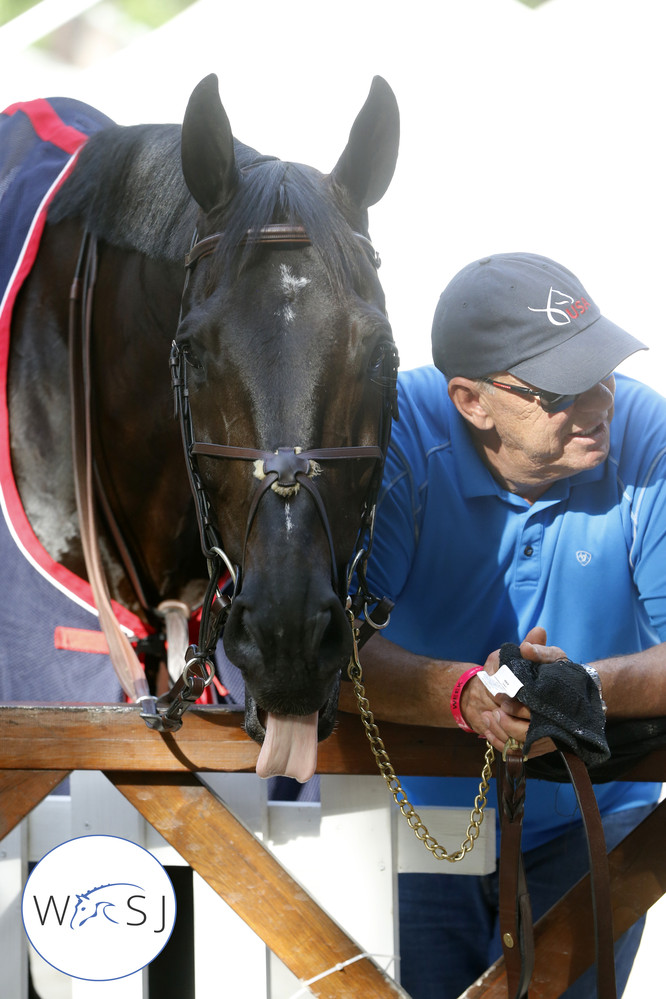 These two have been traveling around the world and back several times already - Beezie Madden's Cortes 'C' and Clark Shipley.