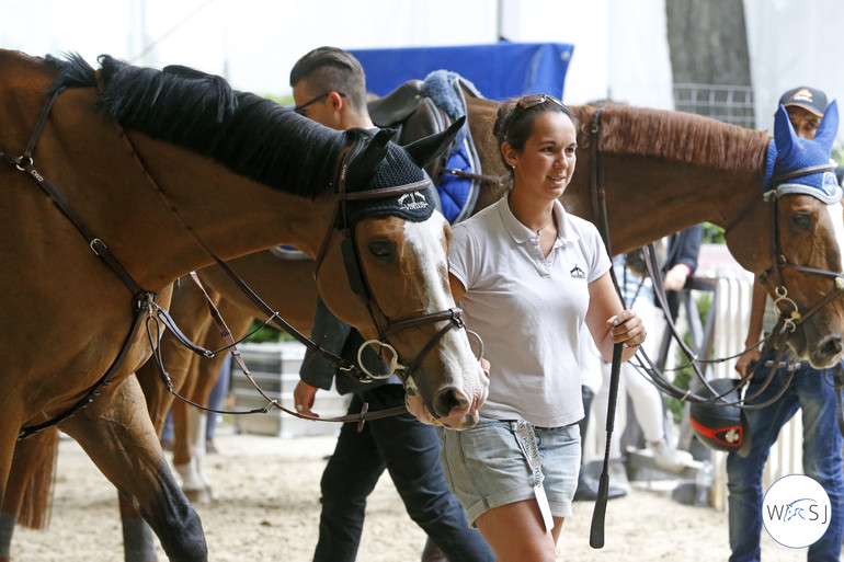 Ready for the day! Michael Whitaker's Daedalus van T&L and Leila Chew heading back to the stable. 