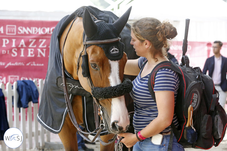 Always time for some cuddle, Maud Logouzat with Philippe Rozier's Quel Chanu.