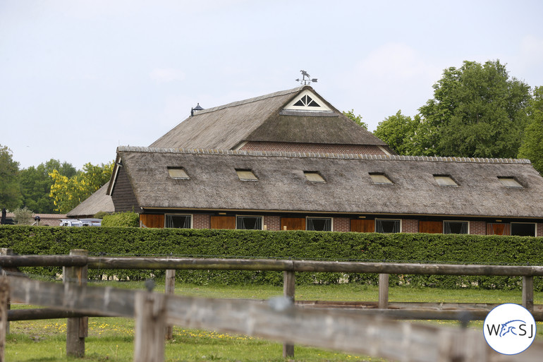 Johan Heins' beautiful yard. Photo (c) Jenny Abrahamsson.