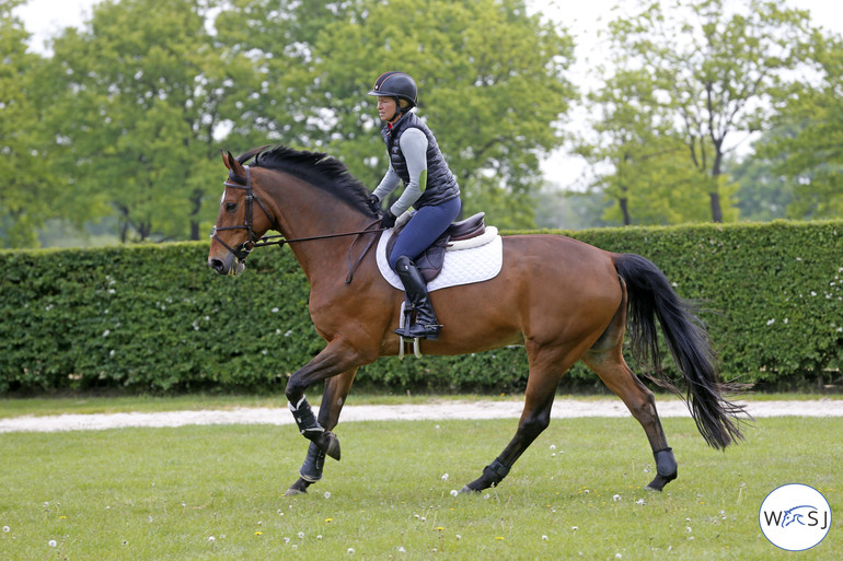 2013 World Cup Champion Simon stretching in the huge grass ring at Johan Heins' yard in the north of Netherlands, Beezie's base during many months of the year.