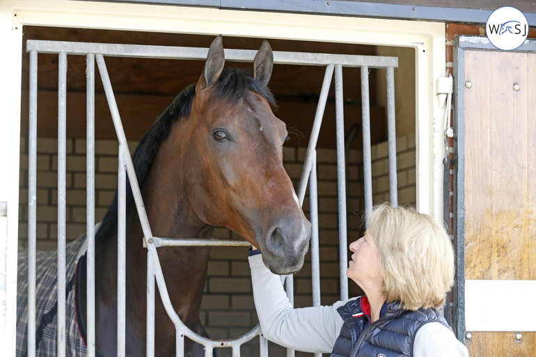 Beezie with the promising Breitling LS: "He is right about to be my top horse too".