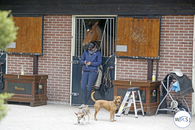 Stable life. Photo (c) Jenny Abrahamsson.