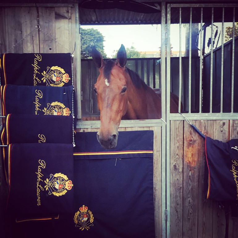 (c) World of Showjumping