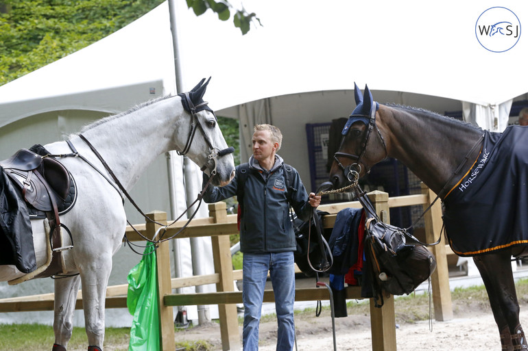 Two Dutch horses that both are aming for the Olympics - Glock's Cognac Champblanc and VDL Groeps Zidane N.O.P.