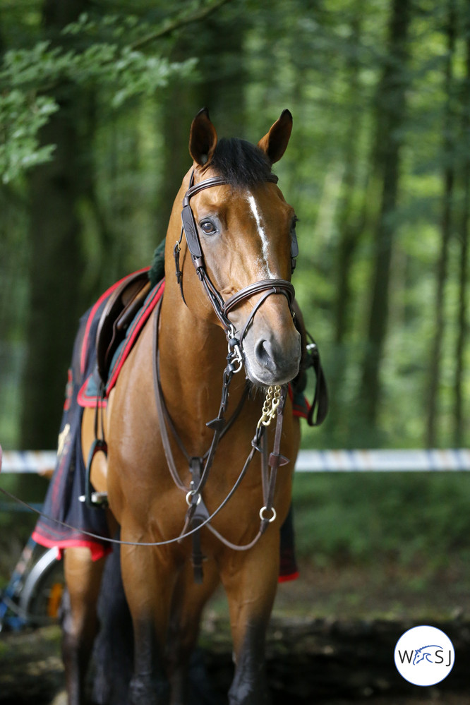 Love him: Abdelkebir Ouaddar's Quickly de Kreisker posing for the camera. 