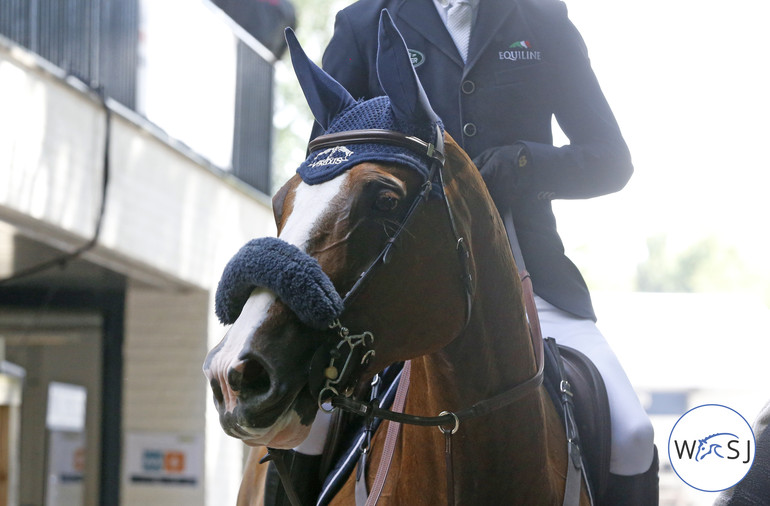 Ben Maher's Diva II looks like she has everything under control. 