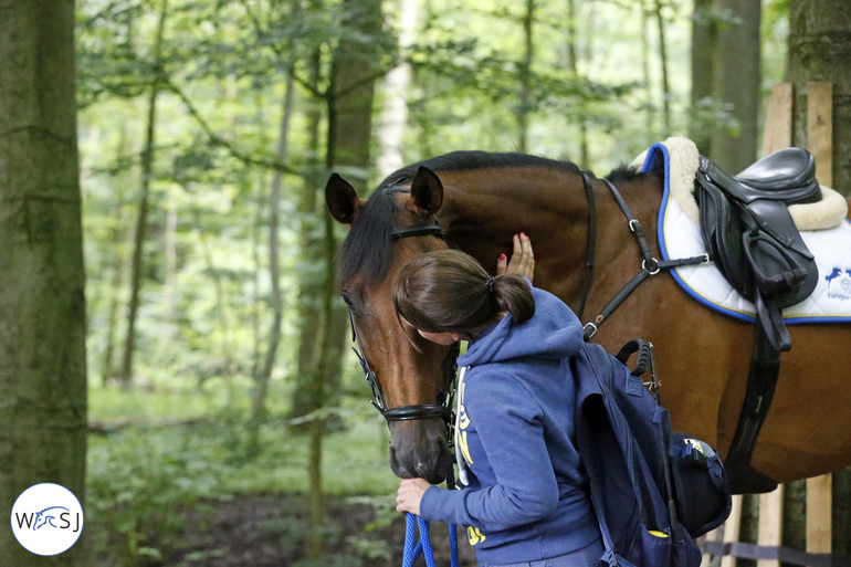 A moment before the class between Judy Ann Melchior's Ailina 6 and Morgane Tresch. 