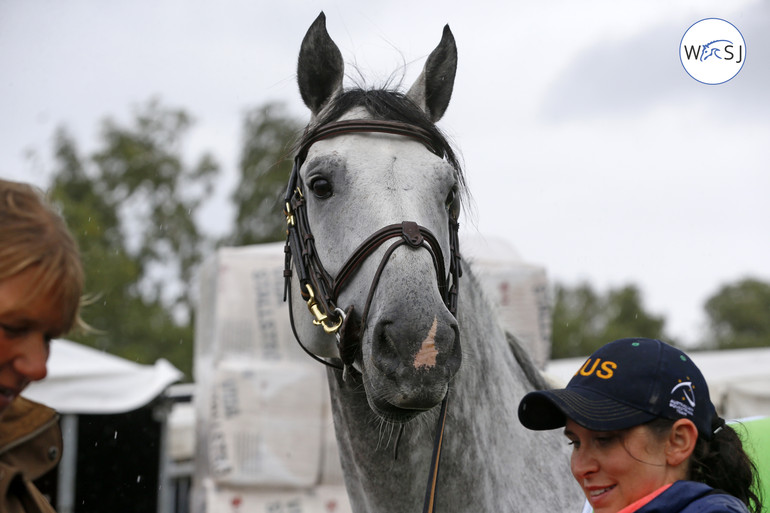 Chris Chugg's Cera Cassiago was first to go in the vet-check, so a happy Sara didn't had to wait in line. 