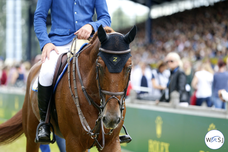 Several horses impressed during the show in Aachen and this is one of them - Christian Ahlmann's Epleaser van't Heike.
