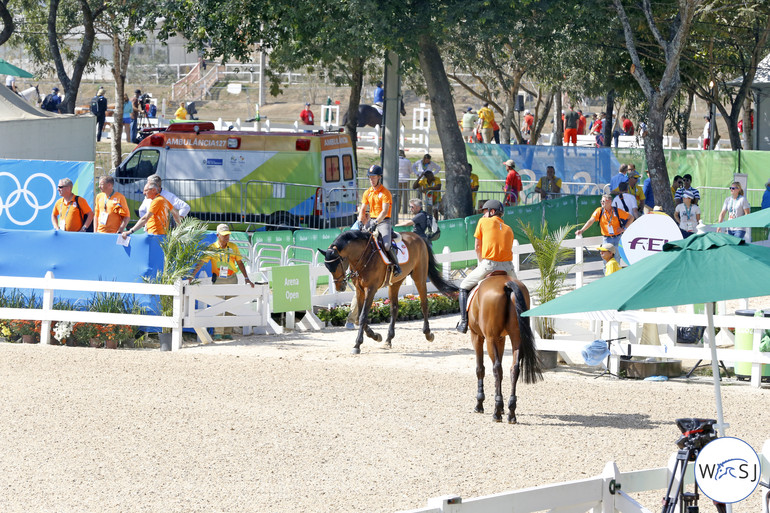 Dutch enter and exit. Photo (c) Jenny Abrahamsson.