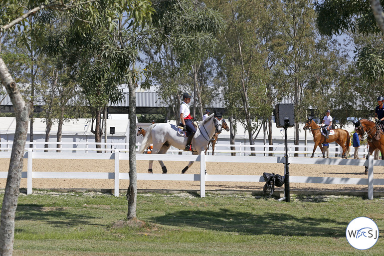 Nicola Philippaerts with Zilverstar T in one of the many warm-up rings. 