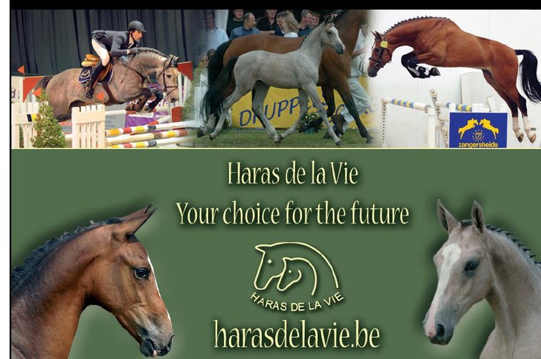 Haras de la Vie