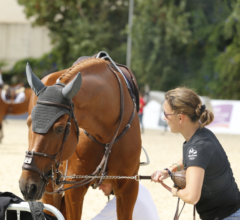 Photo (c) Tiffany Van Halle for World of Showjumping