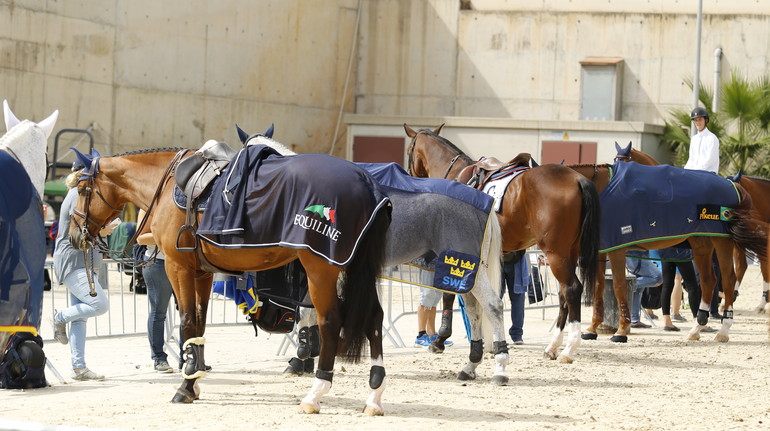 Photo (c) Tiffany Van Halle for World of Showjumping