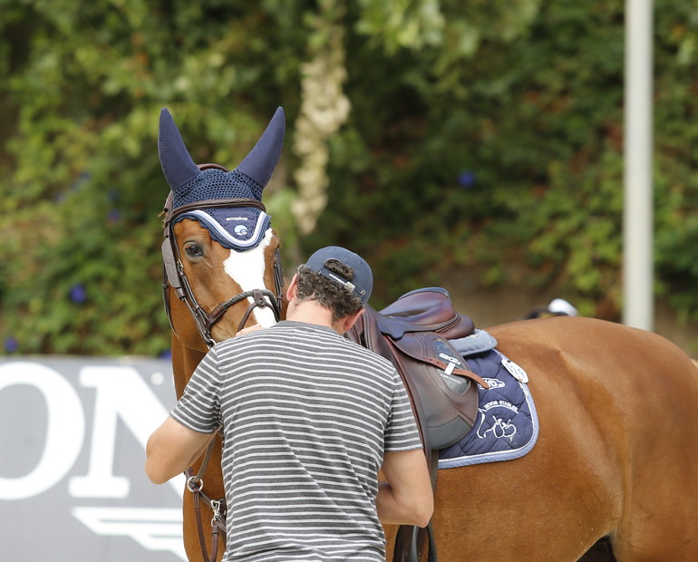 Photo (c) Tiffany Van Halle for World of Showjumping