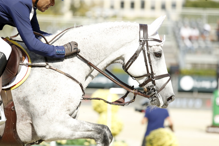 Photo (c) Tiffany Van Halle for World of Showjumping