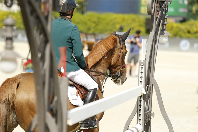 Photo (c) Tiffany Van Halle for World of Showjumping