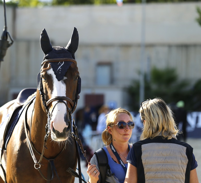 Photo (c) Tiffany Van Halle for World of Showjumping