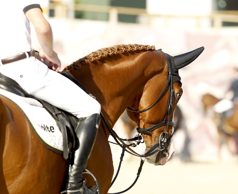 Photo (c) Tiffany Van Halle for World of Showjumping