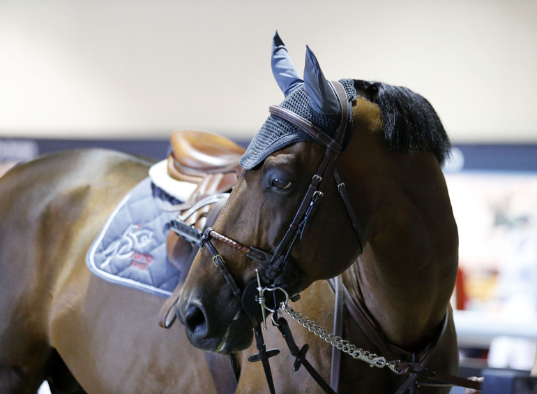 Photo (c) Tiffany Van Halle for World of Showjumping