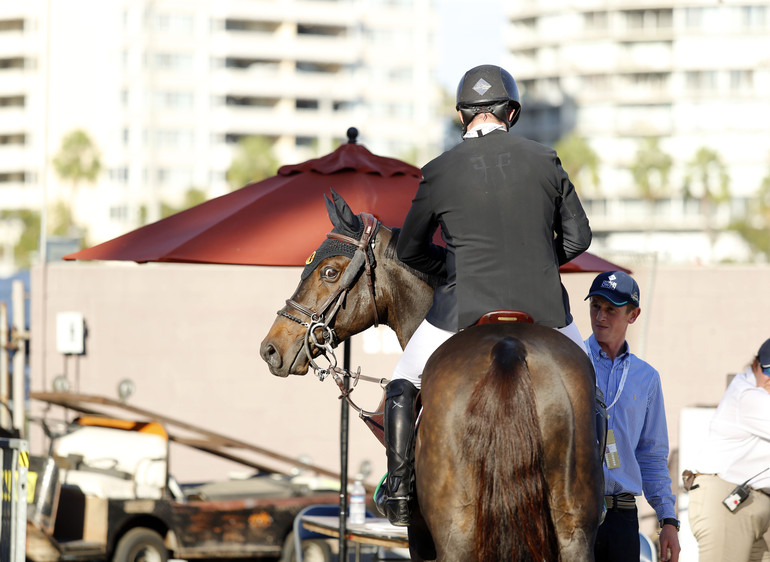 Photo (c) Tiffany Van Halle for World of Showjumping