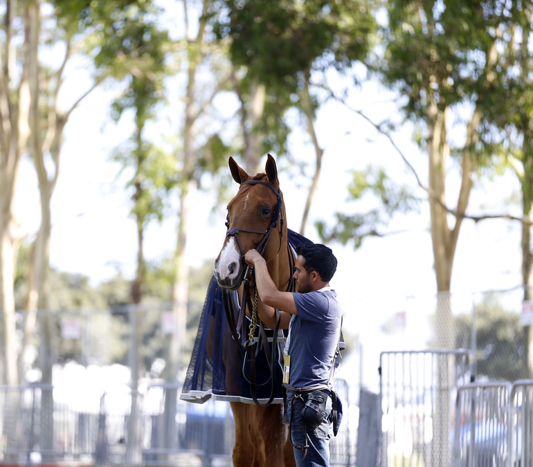 Photo (c) Tiffany Van Halle for World of Showjumping