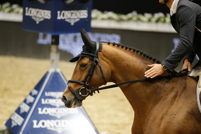 Photo (c) Tiffany Van Halle for World of Showjumping