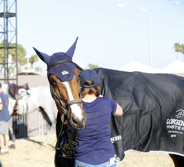 Photo (c) Tiffany Van Halle for World of Showjumping