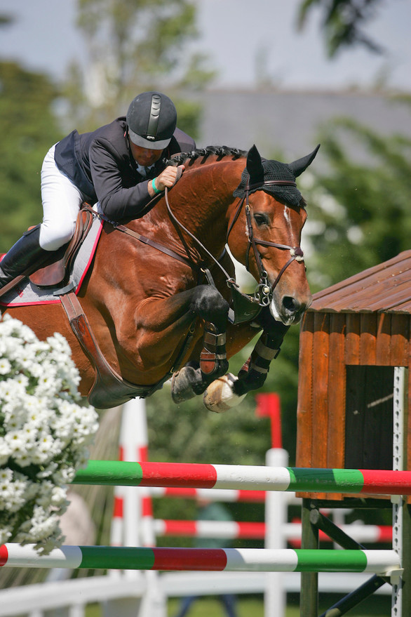 Kashmir van Schuttershof with Philippe Le Jeune in the saddle. Photo (c) Dirk Caremans/Hippo-Foto.